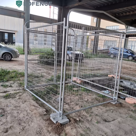 Newest Professional Indoor and Outdoor Walk-in Iron Fence Dog Kennel